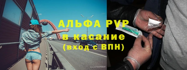 Альфа ПВП Бородино