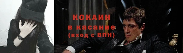 Альфа ПВП Бородино