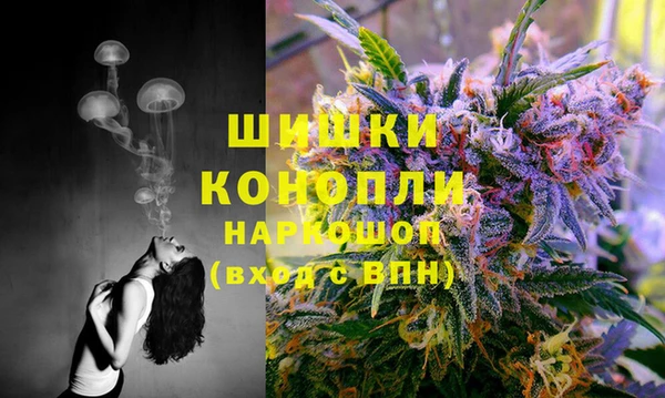 Альфа ПВП Бородино