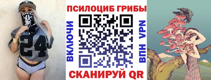 Псилоцибиновые грибы Psilocybe  Купить  Бор 