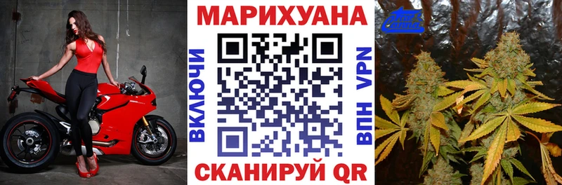 МАРИХУАНА гибрид  Купить где  Бор 
